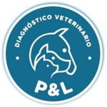 p&L