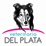 vet del plata